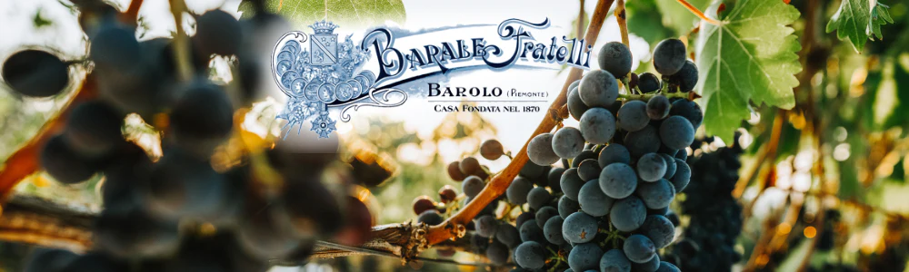 Dell'Uva Nebbiolo non si butta via niente!